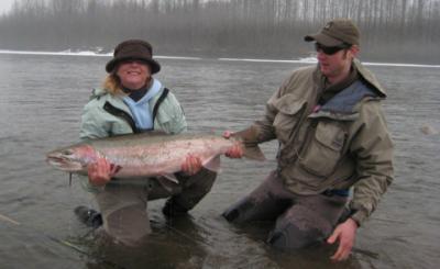 The photo of the week shows an extremely big, wild Steelhead landed and released on the Skeena River by Yvonne Williams.  After going fishless the first day, Yvonne hooked into a very large fish with her Spey rod, and after a reel-burning fight, her guide